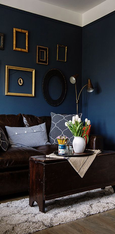 Living room interiors
